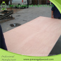 Produce and Export 12mm Bintangor Plywood with Qimeng Brand